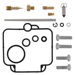 Kit réparation carburateur ALL BALLS