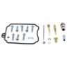 Kit réparation carburateur ALL BALLS Yamaha XV 250 95-22