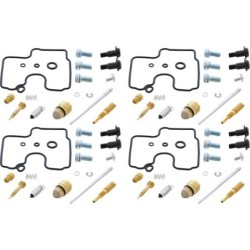 Kit réparation carburateur ALL BALLS