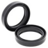 Paire de joints spi de fourche ALL BALLS - 41x53x11