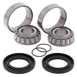 Kit roulements de bras oscillant ALL BALLS Yamaha TMAX XP 500 09-11