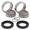 Kit roulements de bras oscillant ALL BALLS Yamaha TMAX XP 500 09-11