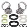 Kit roulements de bras oscillant ALL BALLS KFX 700 V-Force 04-09