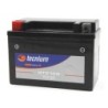 Batterie TECNIUM BTZ10S