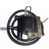 Bobine d'allumage 4037 DZE
