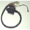 Boitier CDI TECNIUM Yamaha PW 80