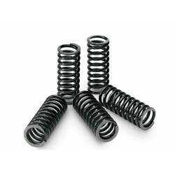 Kit ressorts d'embrayage TECNIUM boîte de 6 Kawasaki KX 250