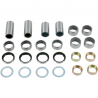 Kit roulements de bras oscillant SHERCO SE SEF SF tous modèles