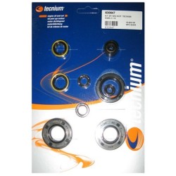 Pochette de joints spi moteur TECNIUM