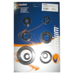 Pochette de joints spi moteur TECNIUM