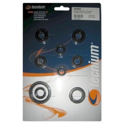 Pochette de joints spi moteur TECNIUM