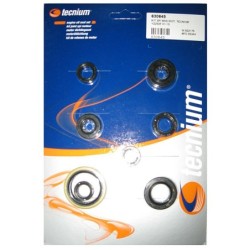 Pochette de joints spi moteur TECNIUM