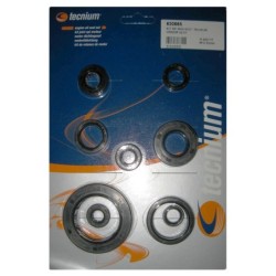 Pochette de joints spi moteur TECNIUM