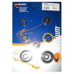 Pochette de joints spi moteur TECNIUM