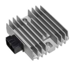 Régulateur de tension TECNIUM DZE