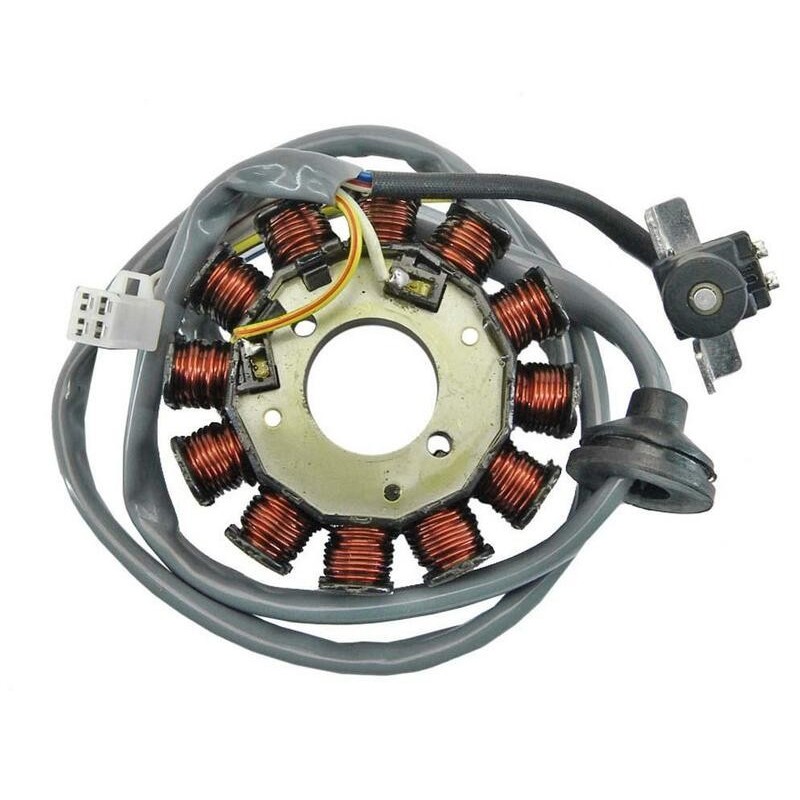Stator TECNIUM - Minarelli horizontal 12 Bobines Stator TECNIUM - Minarelli horizontal 12 Bobines
