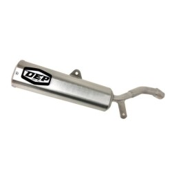 Silencieux d'échappement DEP SUZUKI TS 200 R