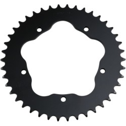 Couronne JT SPROCKETS JTR751 42 dents - pas de 520