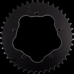 Couronne JT SPROCKETS JTR751 43 dents - pas de 520