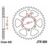 Couronne JT SPROCKETS JTR809 53 dents - pas de 428