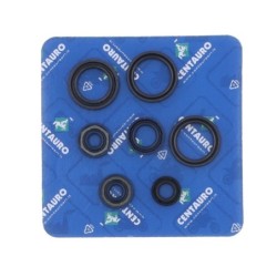 Pochette de joints spi moteur complète CENTAURO