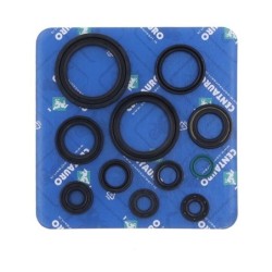 Pochette de joints spi moteur complète CENTAURO