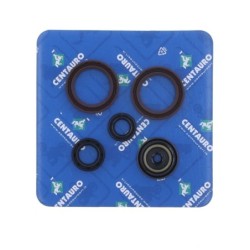 Pochette de joints spi moteur complète CENTAURO