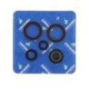 Pochette de joints spi moteur complète CENTAURO