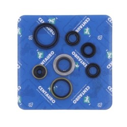 Pochette de joints spi moteur complète CENTAURO