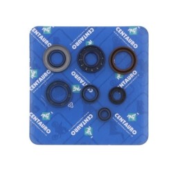 Pochette de joints spi moteur complète CENTAURO