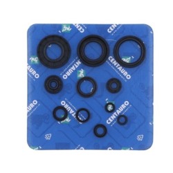 Pochette de joints spi moteur complète CENTAURO