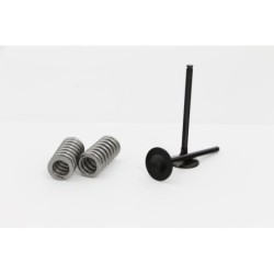 Kit soupapes d'échappement WÖSSNER acier KTM 250 SXF 2006 à 2012 / EXCF 2007 à 2012