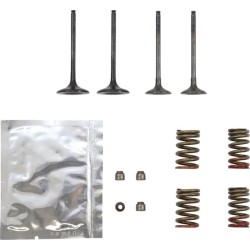 Kit soupape acier avec ressorts WISECO 250 KXF 11-16