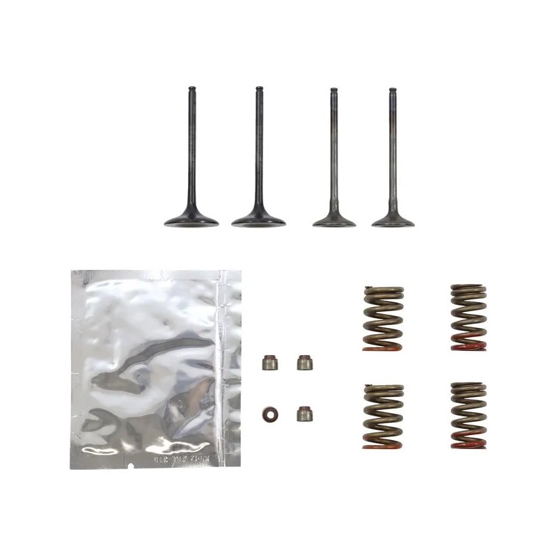Kit soupape acier avec ressorts WISECO 250 KXF 11-16 Kit soupape acier avec ressorts WISECO 250 KXF 11-16