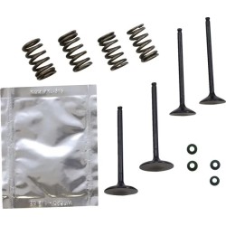 Kit soupapes acier avec ressorts WISECO 250 YZF 14-18