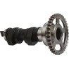 Arbre à cames UNICAM HOT CAMS 450 CRF 2017 à 2020