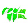 Kit plastiques UFO Kawasaki 85 KX 2022 à 2026 Vert fluo