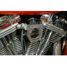Powernow SCARY FAST HARLEY DAVIDSON INJECTION 2006 2007