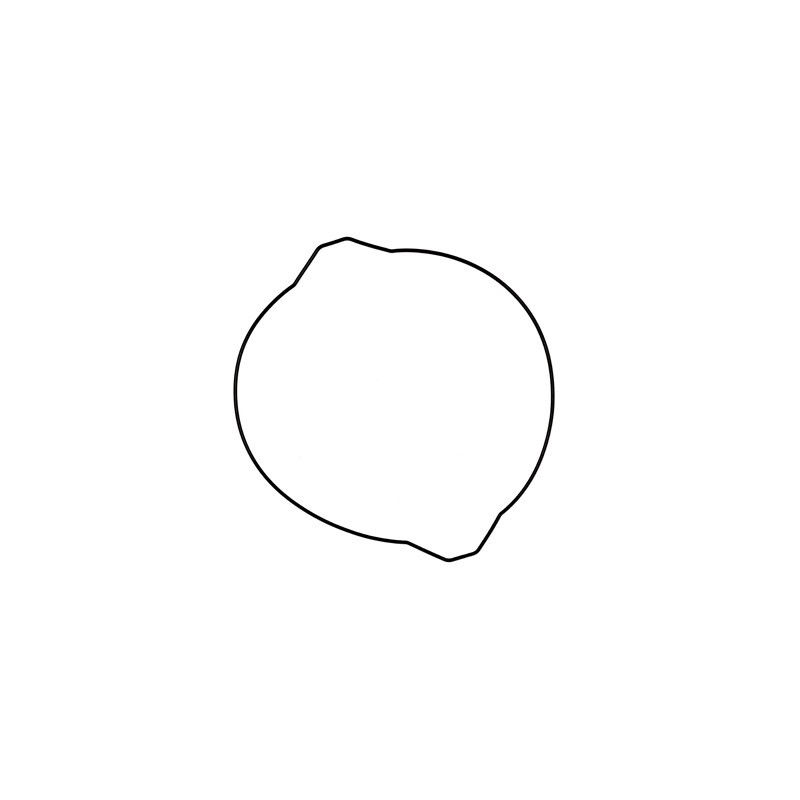 Joint de couvercle d'embrayage 250 YZ '99-22 + 250 YZX '16-22