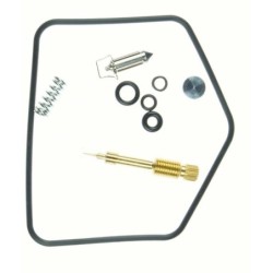 Kit de réparation carburateur TOURMAX CAB-250
