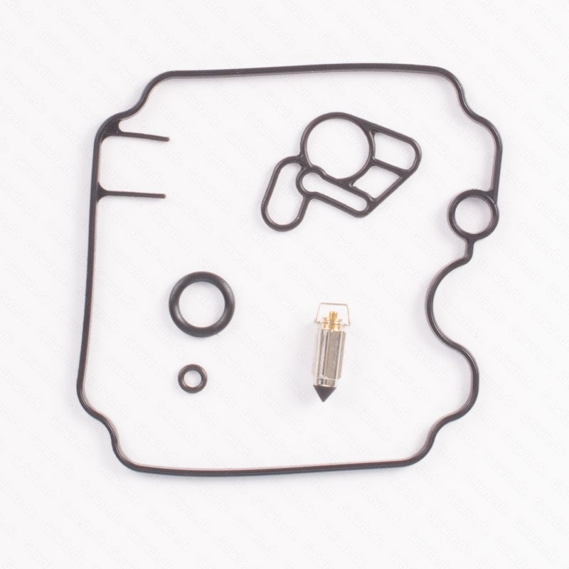 Kit de réparation carburateur TOURMAX CAB-Y54