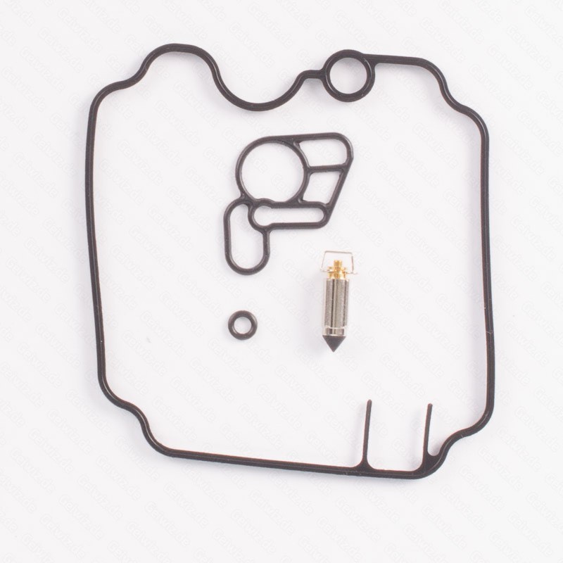 Kit de réparation carburateur TOURMAX CAB-Y55