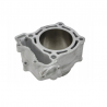Cylindre adaptable 250 YZF WRF 2001 à 2013 + ECF 250 GAS GAS