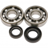 Kit roulements et joints spy de vilebrequin All balls HONDA