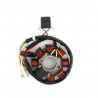Stator d'allumage 200 250 EXC KTM + HVA TE TX