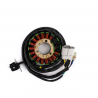 Stator d'allumage 450 CRF L / X 2019 2020 (ENDURO)