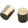 Paire de piston d’étrier de frein avant RM RMZ