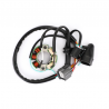 Stator d'allumage 250 KXF 2004 à 2010 + 250 RMZ 2004 à 2006