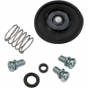 Kit de reconditionnement pompe de reprise 250 RMZ 2004 à 2009
