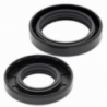 Kit joints spi de vilebrequin ALL BALLS 125 YZ 2001 à 2004